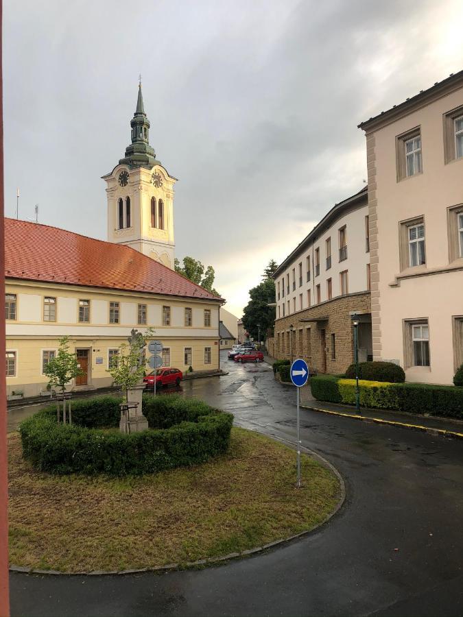 Villa Magdalena Kutna Hora Ngoại thất bức ảnh